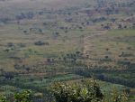 Cliquer ici pour voir l'image grand format Kenya_106.jpg