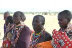 Cliquer ici pour voir l'image grand format Kenya_134.jpg
