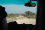 Cliquer ici pour voir l'image grand format Kenya_186.jpg