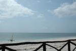 Cliquer ici pour voir l'image grand format Kenya_215.jpg