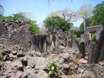 Cliquer ici pour voir l'image grand format Kenya_232.jpg